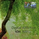 cover: Digital Affliction - Soulsurfer