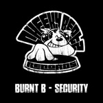 cover: Burnt B - Security