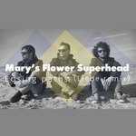 cover: Marys Flower Superhead - Losing Paths (Liebe Remix)