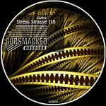 cover: Raftek - Stress Strasse 118