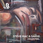 cover: Steve Mac|Sakke - Crazy Feel