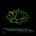 cover: Wormhole - Past Connections