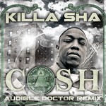 cover: Killa Sha - Cash (Audible Doctor remix)