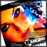 cover: Dj Funsko - Boulevard DISCO