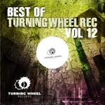 cover: Various - Best Of Turning Wheel Rec Vol 12