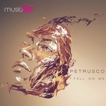 cover: Petrusco - Fall On Me