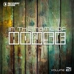 cover: Various - In The Name Of House Vol 21