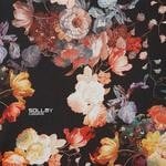 cover: Sollmy - Coroana EP