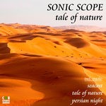 cover: Sonic Scope - Tale Of Nature