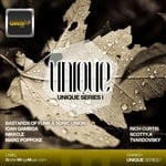 cover: Various - Unique Series I