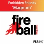 cover: Forbidden Friends - Magnum