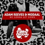 cover: Modaal|Reeves, Adam - We Gonna Get Down