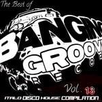 cover: Dj Funsko - The Best Of Banging Grooves Records Vol 13