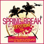 cover: Various - Spring Break Session 2014