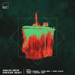 cover: Analog Decay - Duplicate Select (remixes)