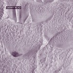 cover: Gerry Read - Socialize/Charcoal