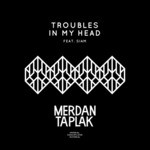 cover: Siam|Taplak, Merdan - Troubles In My Head