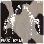 cover: Anderson Beher - Freak Like Me