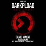 cover: David Mayne - Palladium