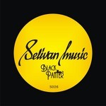 cover: Selivan Dj - Black Panter