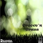 cover: 2komplex - Groove'n'grass