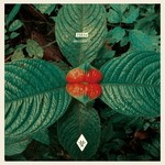 cover: Yokoo - Amazonia