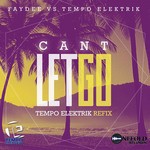 cover: Faydee|Tempo Elektrik - Can't Let Go