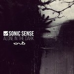 cover: Sonic Sense - Alone In The Dark