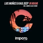 cover: Munoz, Luis|Raul Deep - In Miami