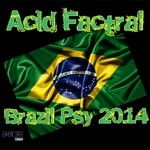 cover: Acid Factral - Brazil Psy 2014