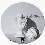 cover: Acidflowerzz - Klang