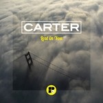 cover: Carter - Lost In You