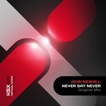 cover: John Newall - Never Say Never