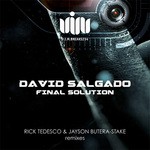 cover: David Salgado - Final Solution (remixes)