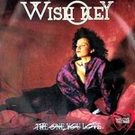 cover: Wish Key - The One You Love: Italo Disco (remixes)