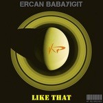 cover: Ercan Babayigit - Like That