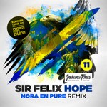 cover: Sir Felix - Hope (Nora En Pure Remix)