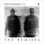 cover: Spectrasoul - Delay No More (The Remixes)