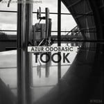 cover: Azur Odobasic - Took