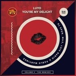 cover: Luyo|Wendy Lewis - You're My Delight Vol 2: The Remixes