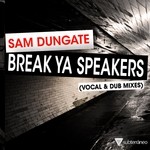 cover: Sam Dungate - Break Ya Speakers