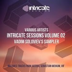 cover: Artego|Sebastian Weikum|V I F - Intricate Sessions Volume 02: Vadim Soloviev's Sampler