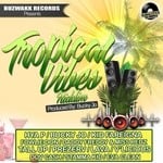 cover: Various - Tropical Vibes Riddim