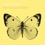 cover: Until The Bird - Pale Clouded Yellow