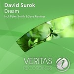 cover: David Surok - Dream (remixes)