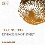 cover: Terje Saether - Revenge Is Not Sweet