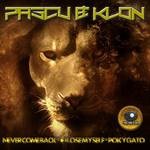 cover: Dj Pascu & Dj Klon - Never Come Back