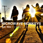 cover: Microwave Monkeys - Sun Is Shining