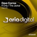 cover: Dave Correa - If Only