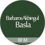 cover: Barbaros Akbingul - Basla